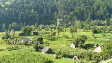 Bucium (comuna Bucium, judetul Alba)